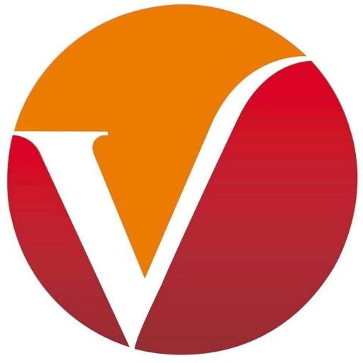 Vanguardia de Veracruz logo