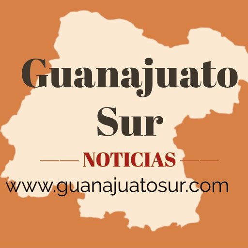 Guanajuato Sur Noticias logo