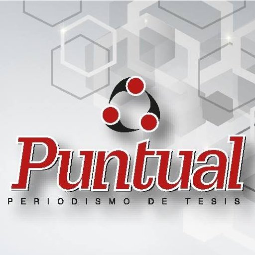Diario Puntual