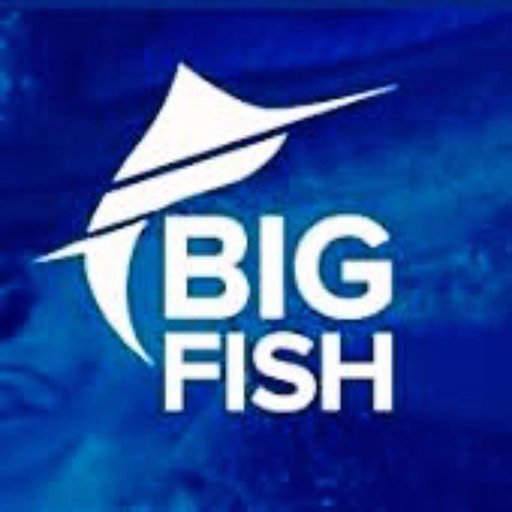 Big Fish logo